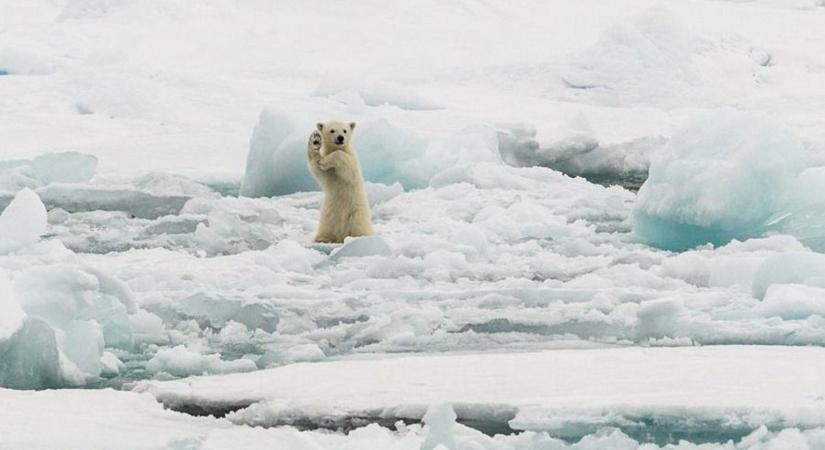 Jobb, ha most fagy, mint tavasszal – Az év eleji lehűlés ellenére folytatódik a globális felmelegedés