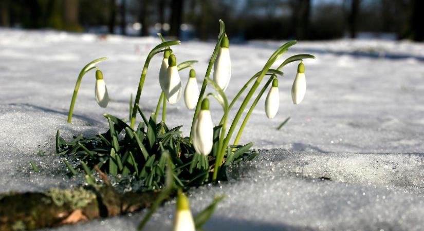 Végre tudják a meteorológusok, mikor érkezik a tavasz, az idei évünk nagyon más lesz, mint amit megszoktunk