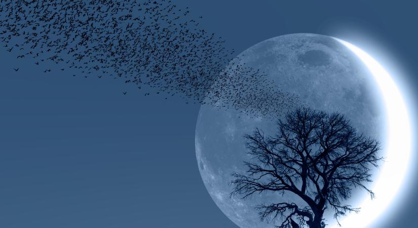 Napi horoszkóp 2026. január 18.: az év első újholdjával startol el igazán az év