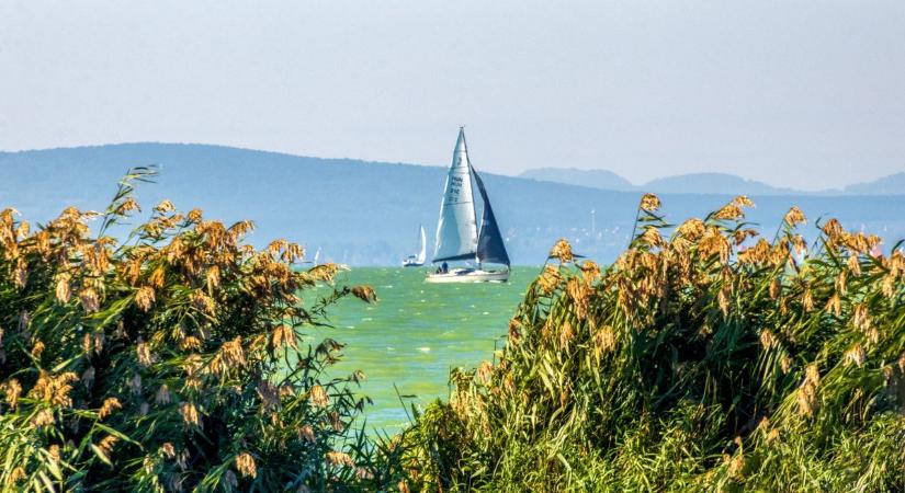 Kiszáradás és szúnyogfelhők: sokkoló tények és egy 10 pontos mentőterv a Balatonért