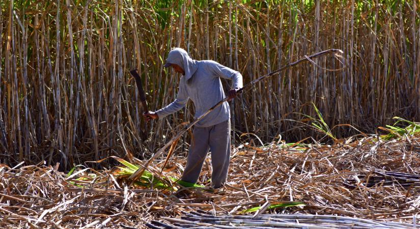 Rég láttunk ilyet: tíz éve nem csinálták a balatoni strandokon - pedig nagyon fontos lenne