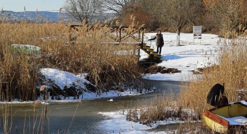 Velencei-tó: vajon mi történik a jég alatt?