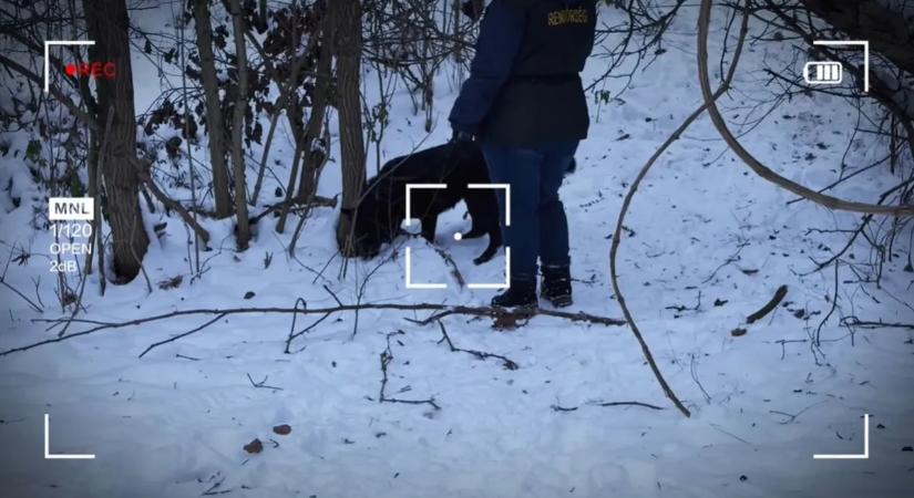 Nem a bányászati hagyományokat akarták újjáéleszteni Rácbányán, más miatt túrták a földet a dílerek – videóval