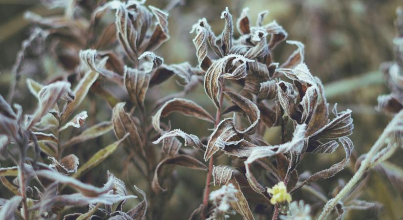 Időjárás: Január van? Január van! Sok jót ne várj VIDEÓ
