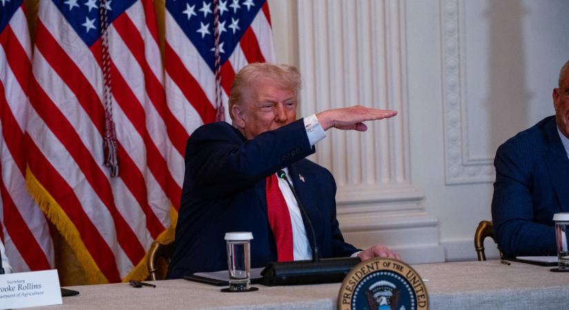 Trump 10 százalékos vámmal bünteti Dániát és hét szövetségeség Grönland miatt