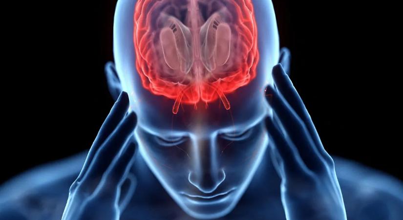 Hat tipp az agy fiatalon tartásához – szokások, amelyek lassítják az agy öregedését