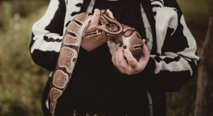 Ez az apró jel leplezheti le a mérgező „barátokat” az életedben