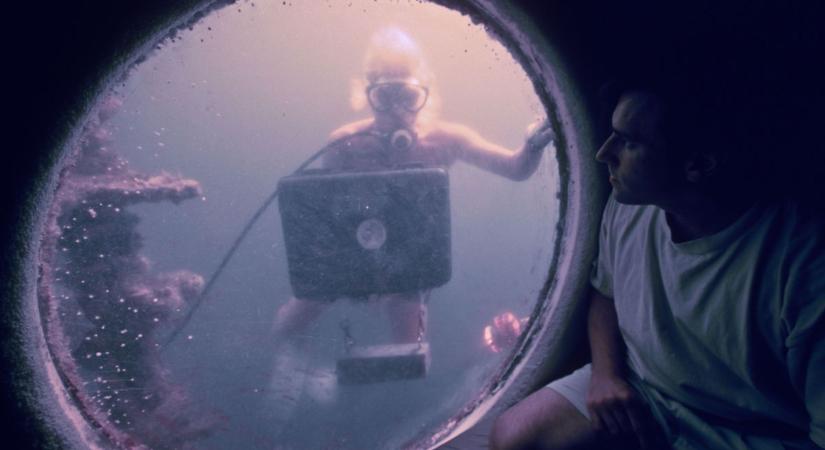 Hivatásos repülőgép-tolvaj, Tinderes szellemíró, parmezán-hallgató: hat meghökkentő állás a világból – az egyikért elképesztő összegeket fizetnek