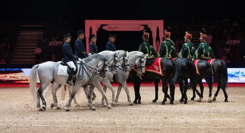 Sűrű évet zárt a szilvásváradi ménes