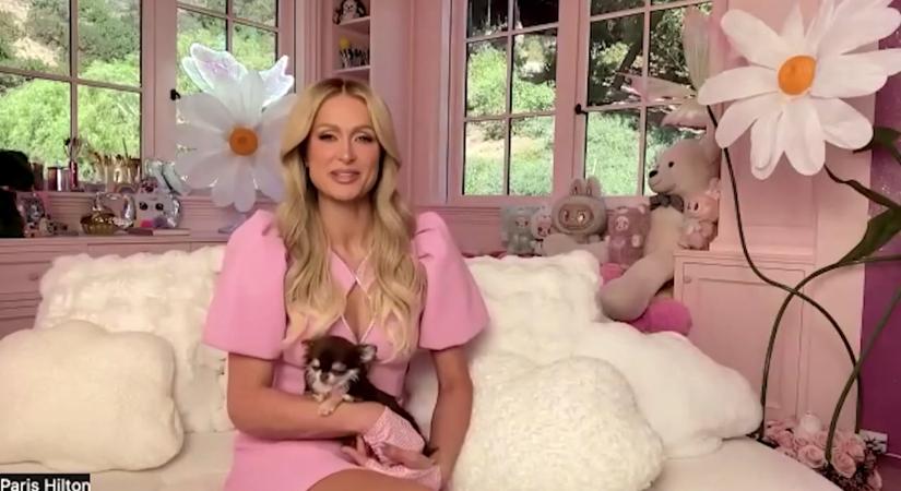 Paris Hilton és Tom Brady is klónoztatta elhunyt kutyáját – itthon is komoly tétje van a technológiának