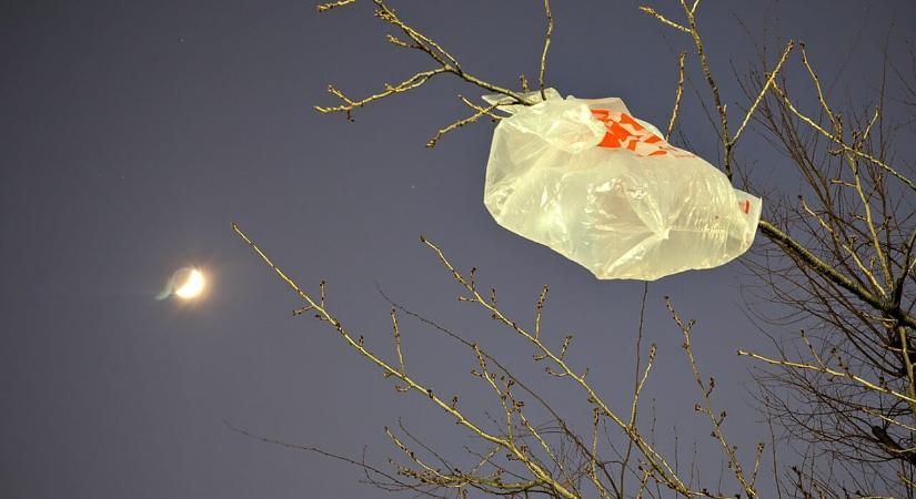 Kutatói vita bontakozott ki a mikroműanyag-kutatás eredményeinek hitelességéről