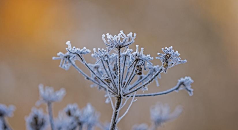 Napközben javuló látási viszonyok, többfelé marad a borult idő és a fagy