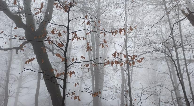 Csípős mínuszokkal indul a vasárnap, de sokan örülnek majd délután