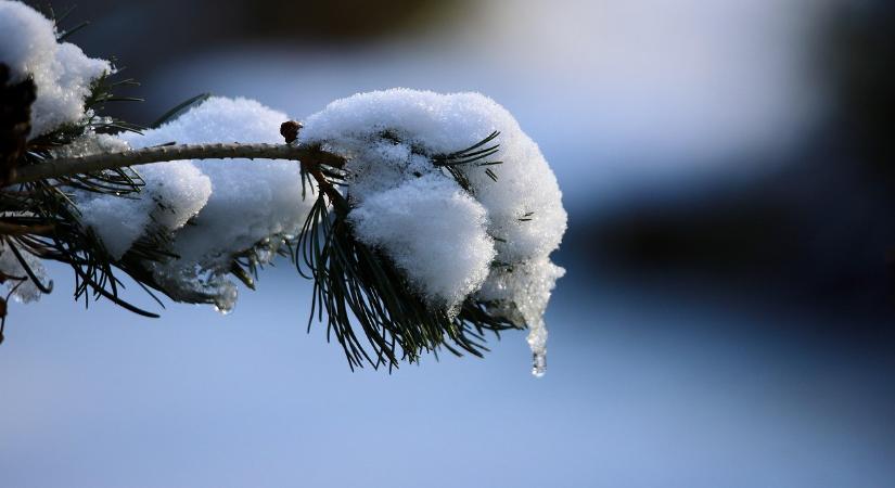3 dolog, amit azonnal meg kell tennie a kertben a hóolvadás után