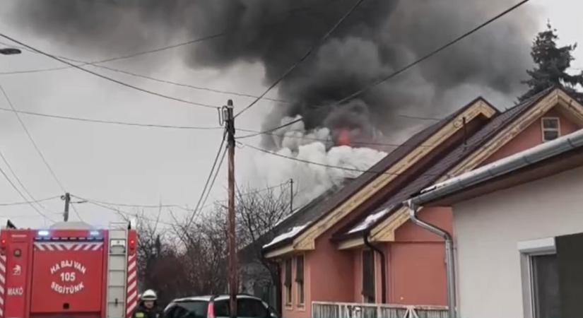 Hatalmas lángokkal égett egy gyűjtögető háza Makón
