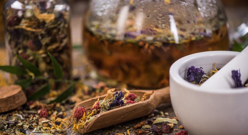 Téli immunerősítő gyógynövények, amikért hálás lesz szervezeted