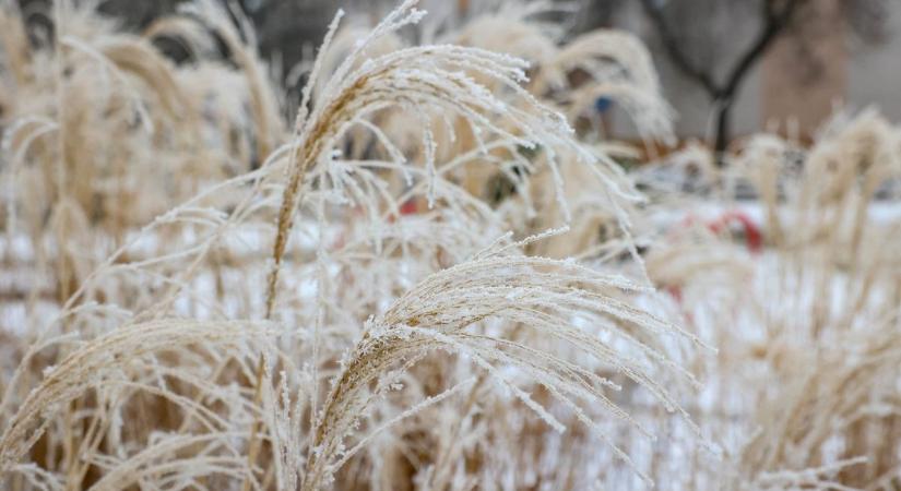 Süt a nap, csíp a hideg – fagyos meglepetést tartogat a mai időjárás