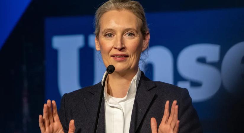 Trump grönlandi fenyegetőzése nem tesz jót az európai szélsőjobbal ápolt kapcsolatának sem