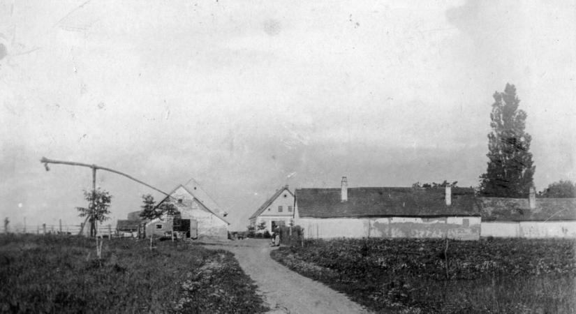 Acsai Roland: Három vers Sinka István emlékének