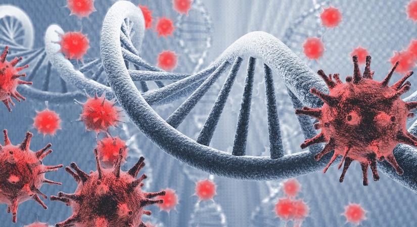 A fertőzés rejtélye