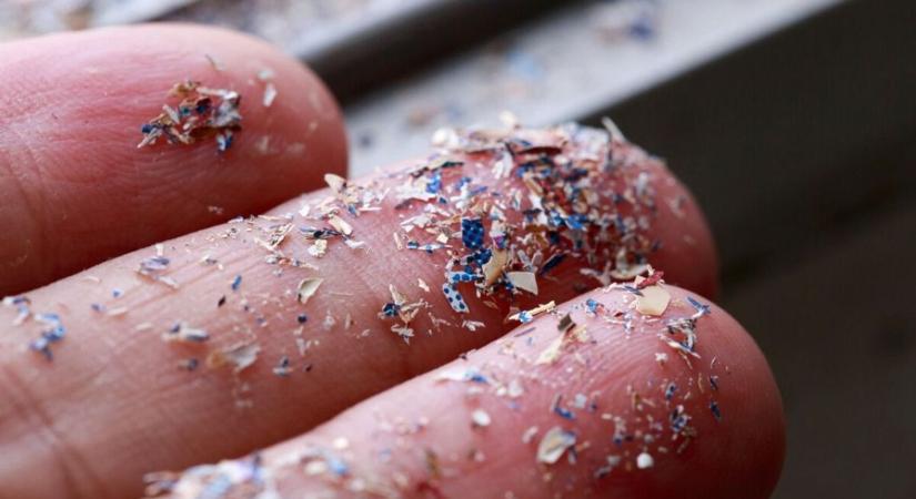 Egy csésze tea is elég lehet? Így jutnak műanyagrészecskék a testünkbe