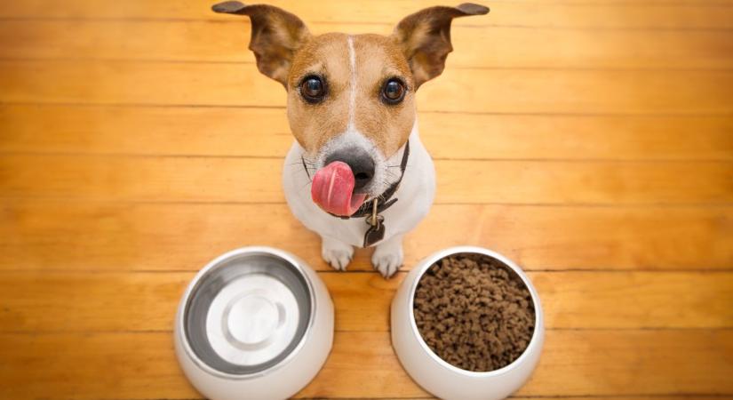 A kutyád étele rosszabb hatással van a klímaváltozásra, mint a tiéd