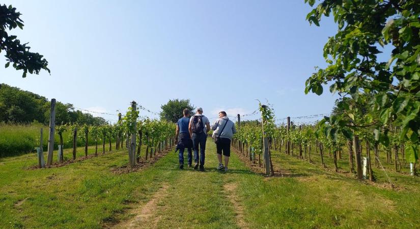 Csepreg városáról szól Vasi Szemle legújabb különszáma