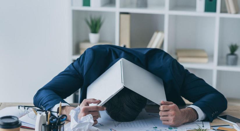 Bedőlt cégek az ország minden tájáról – újabb érdekességek a NAV árverésén