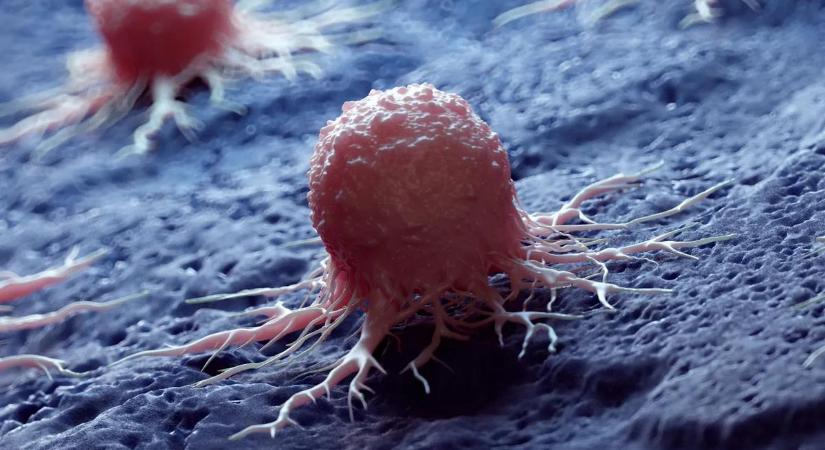 Rettenetes dolog derült ki sokak kedvenc vitaminjáról: pusztítóbbá teheti a rákot