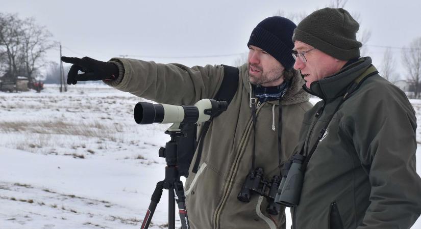 Különleges megfigyelés zajlott a Jászságban, igazi csúcsragadozók után kutattak a természetvédők