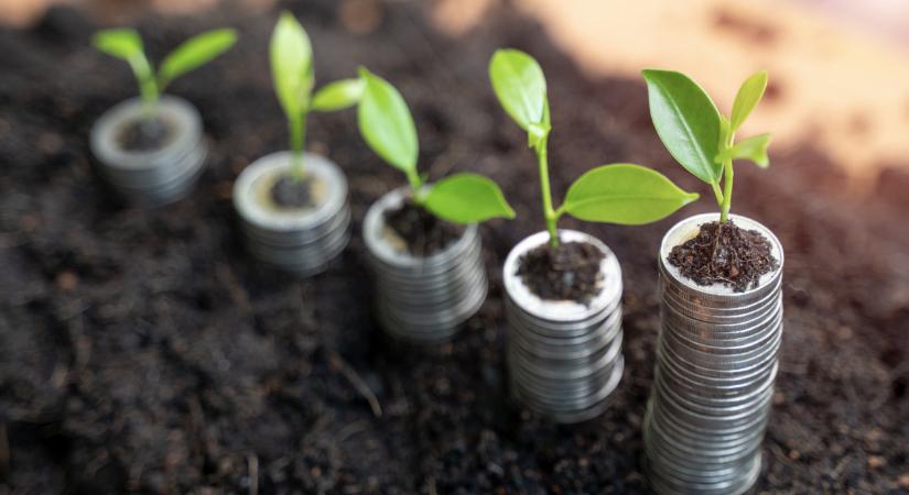 Fontos bejelentés jött az agrártámogatásokról: ez minden gazdát érint