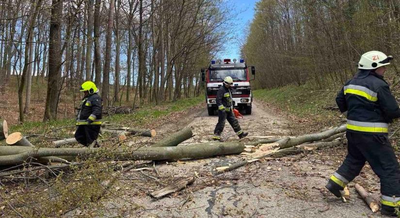 Tűzoltók az ötödik dimenzióban a Bakonyban – Interjú a zirci tűzoltóparancsnokkal ( podcast)