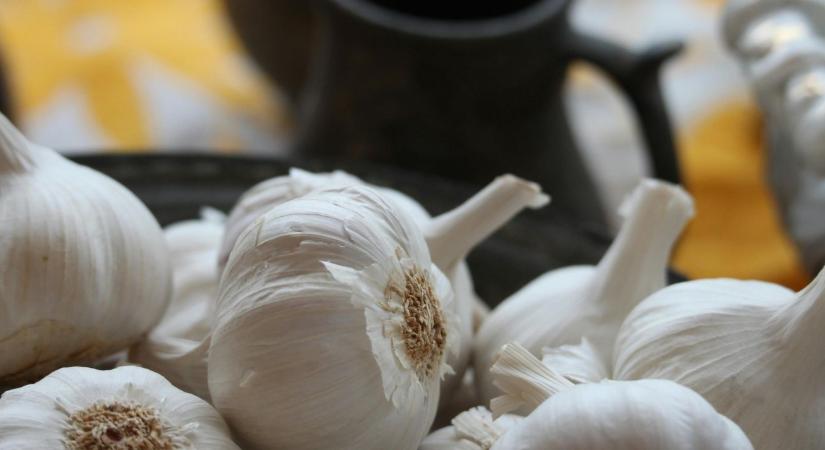A magyar konyha ősi szuperélelmiszere: mit tud valójában a fokhagyma?
