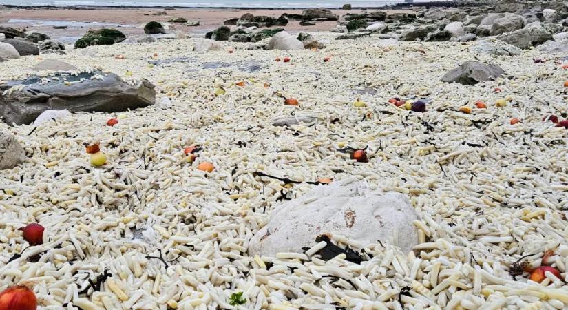 Több ezer zsák mirelit krumpli sodródott partra Anglia déli részén