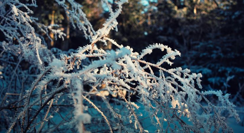 Napi horoszkóp – január 19., hétfő
