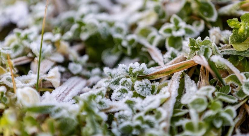 Piroska döntött: eldőlt, milyen idő lesz a következő 40 napban  Fagytérkép