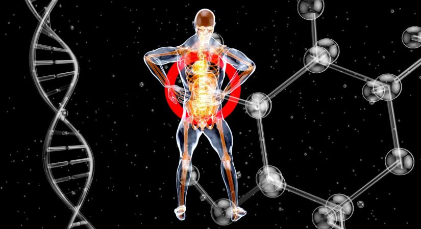 Csalóka halhatatlanság