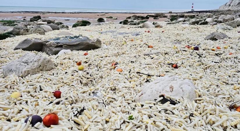 Megőrült a tenger: apokaliptikus krumplihullám söpört végig a parton – videó