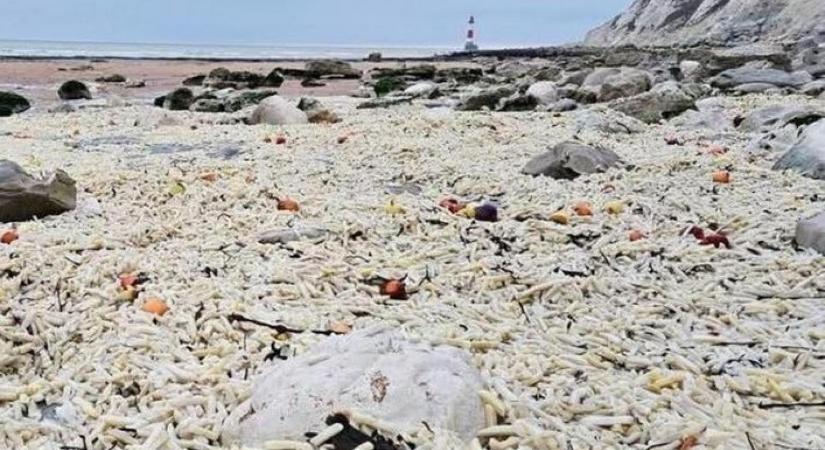 Több ezer zacskó mirelit hasábburgonyát mosott partra a víz Anglia déli részén