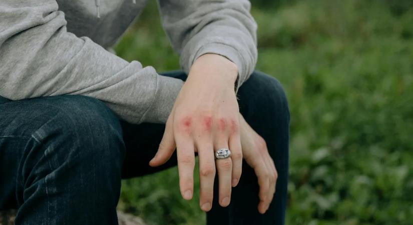 Videón a brutális bántalmazás: ütötték-verték társai a pápai diákot