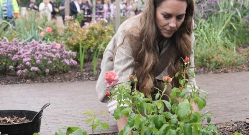 Ez Katalin kedvenc virága: különleges jelentése és Diana miatt kedveli annyira ezt a növényt a hercegné