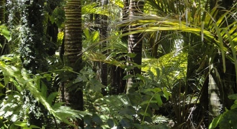 Kutatók figyelmeztetnek: nő a fertőző betegségek kockázata