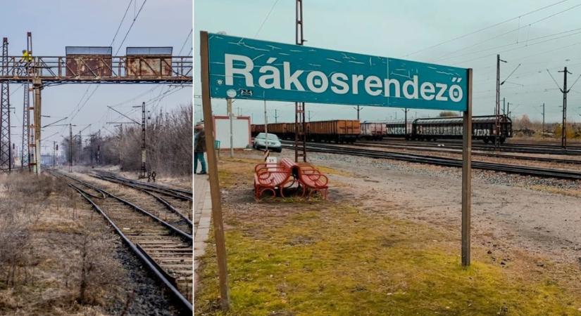 Rákosrendező: egy éve vette meg a főváros a barna mezős területet, de a talajt még nem vizsgálták meg