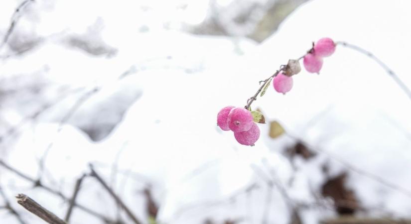 Dermesztő hideggel és köddel indul a mai nap