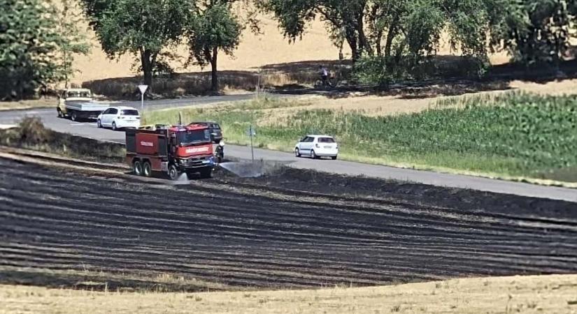 Erdők, rétek és mezők égtek - Sok volt a szabadtéri tűz térségünkben