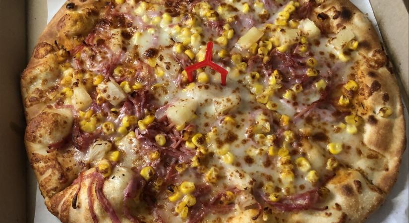 Pierre szerint jobb nem firtatni, hogyan vált védelmet élvező nemzeti kinccsé ez a pancs