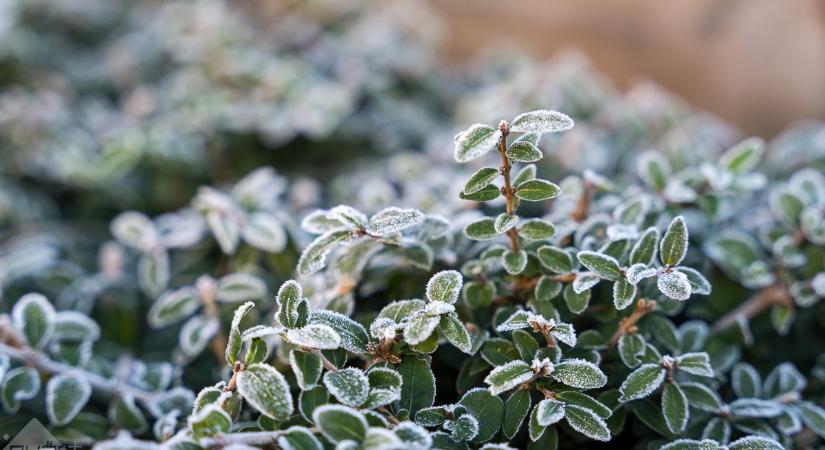 Időjárás – Fagyos idővel indul a hét