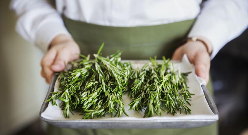 A rozmaring csodás hatásai: többféle formában is támogatja az egészséget