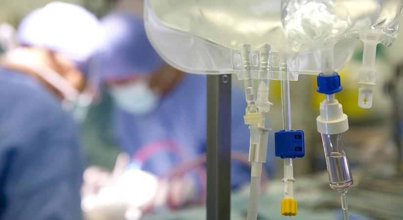 Rekordév a magyar transzplantációban: több mint négyezer új életév 2025-ben