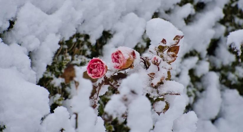 Akár -20 foknál is hidegebb lehet, dermesztően fagyos napok jönnek a héten